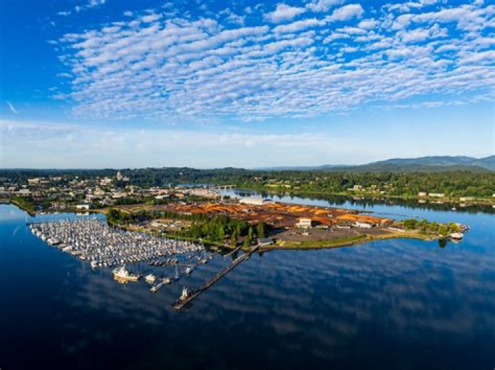 All About Lacey Minchew | Age, Net Worth, Bio, Career