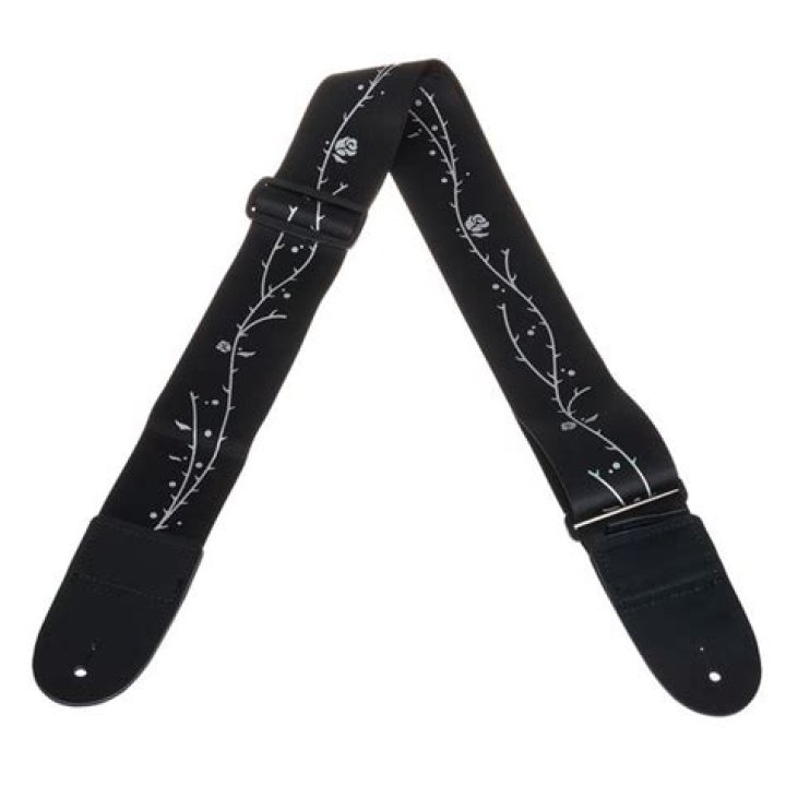 Tim Henson - Bio, Age, Wiki, Facts and Family